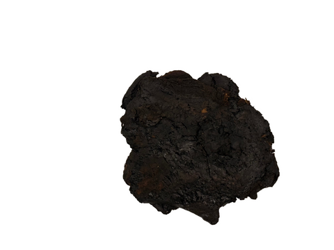 REHMANNIA ROOT