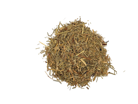 HORSETAIL (SHAVEGRASS) C/S