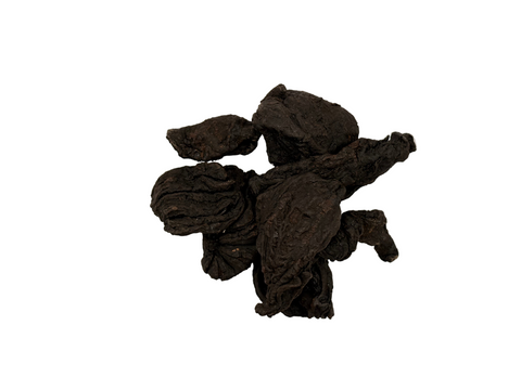 GARCINIA CAMBOGIA FRUIT