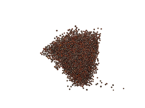 MUSTARD SEEDS BLACK