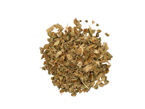 PRICKLY PEAR CACTUS C/S (NOPAL)