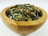 CLIMBING IVY HERB C/S - Trade Technocrats Ltd