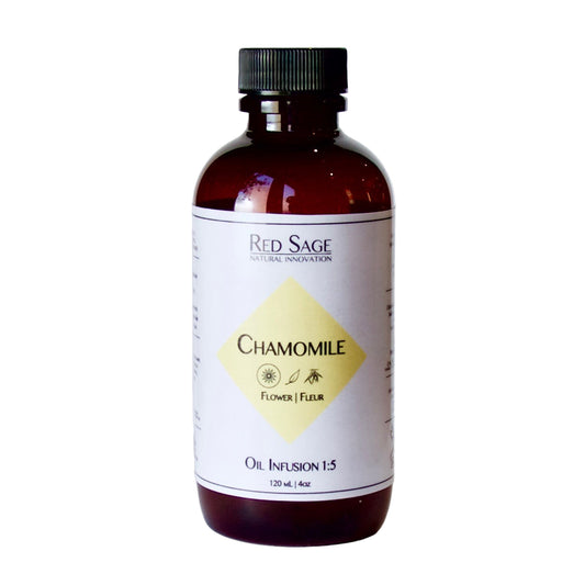 CHAMOMILE FLOWER OIL INFUSION